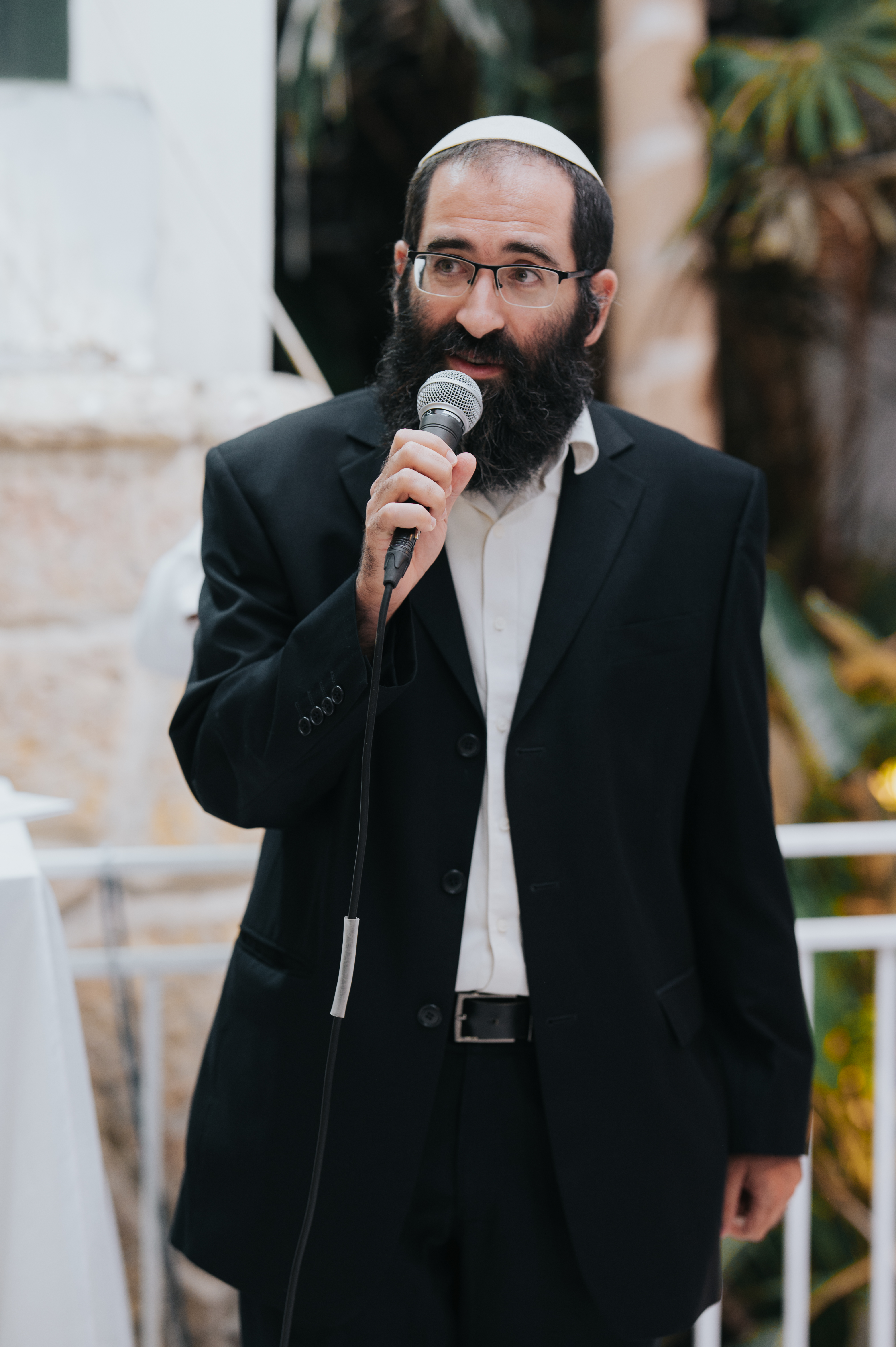 תמונה נוספת